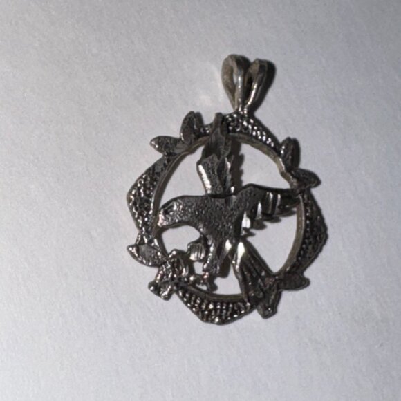 Sterling Silver Eagle Pendant, encircled - Picture 10 of 16